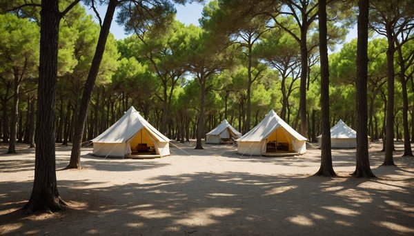 Les atouts d'un camping de luxe sur l'île de ré au cœur de la nature